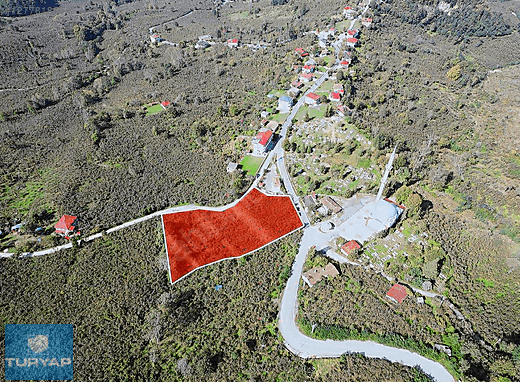 ORDU ALTINORDU DELİKKAYA'DA SATILIK EMSALSİZ BAHÇE